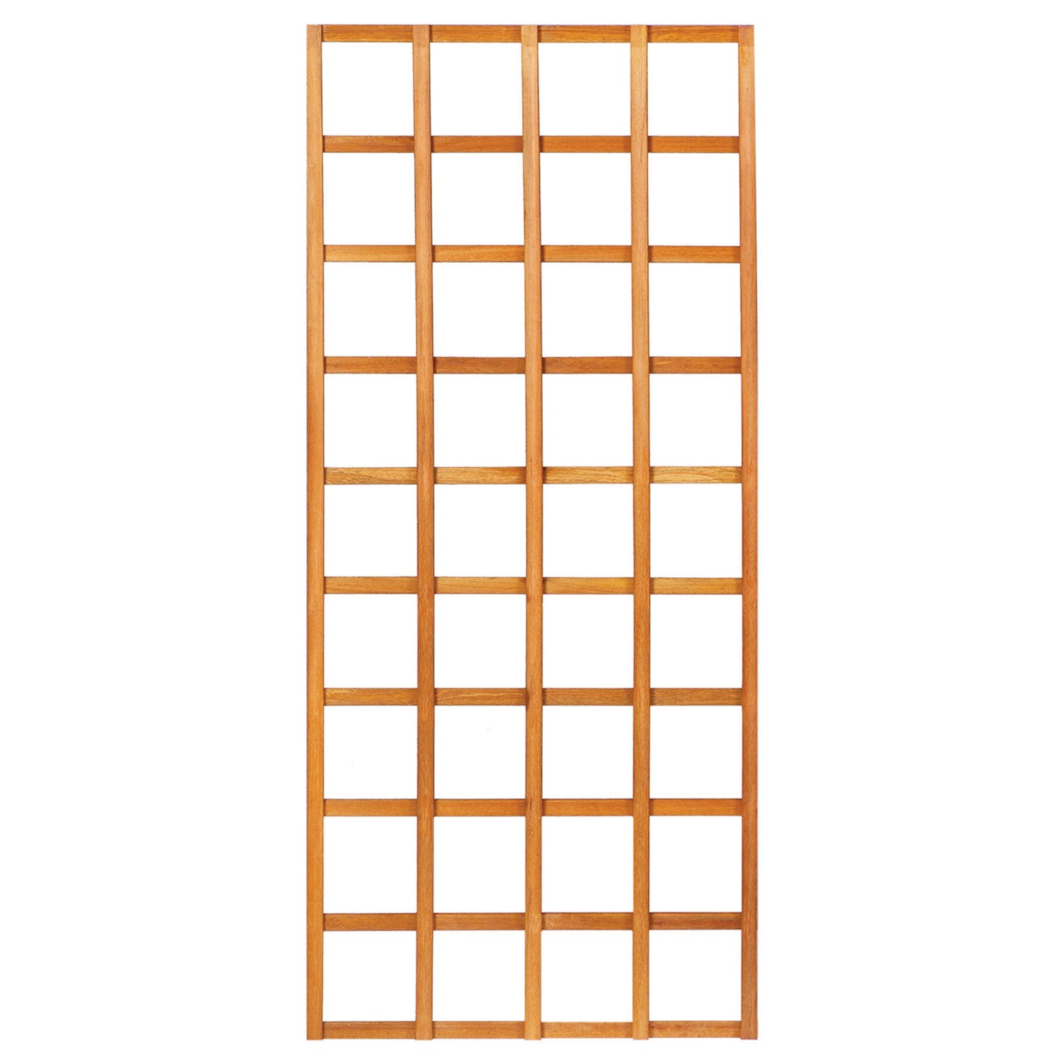 668fff75e971b-c1005e94029db9646408e0b03250677cc591dd81-p002544-c-v01-0-202405jpg