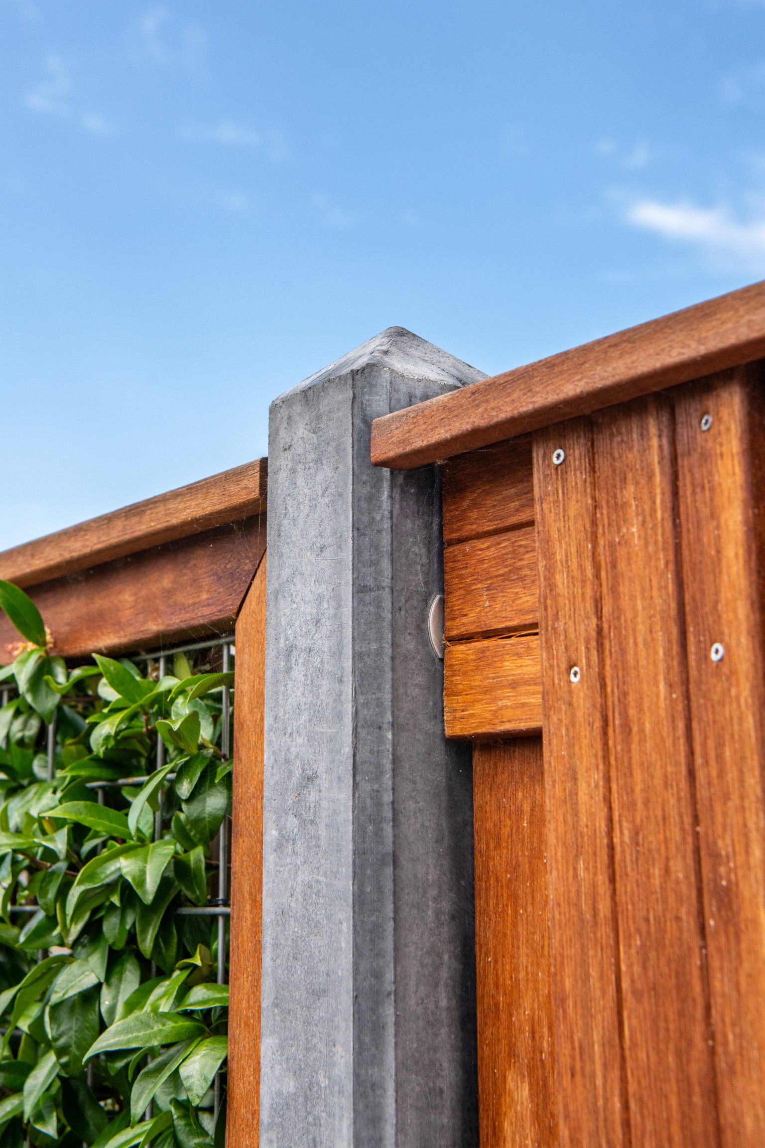 66901bdab541c-596fa8259ae830ef3109ac2be9326b6be17765df-p002241-r-v91793-0-202307jpg