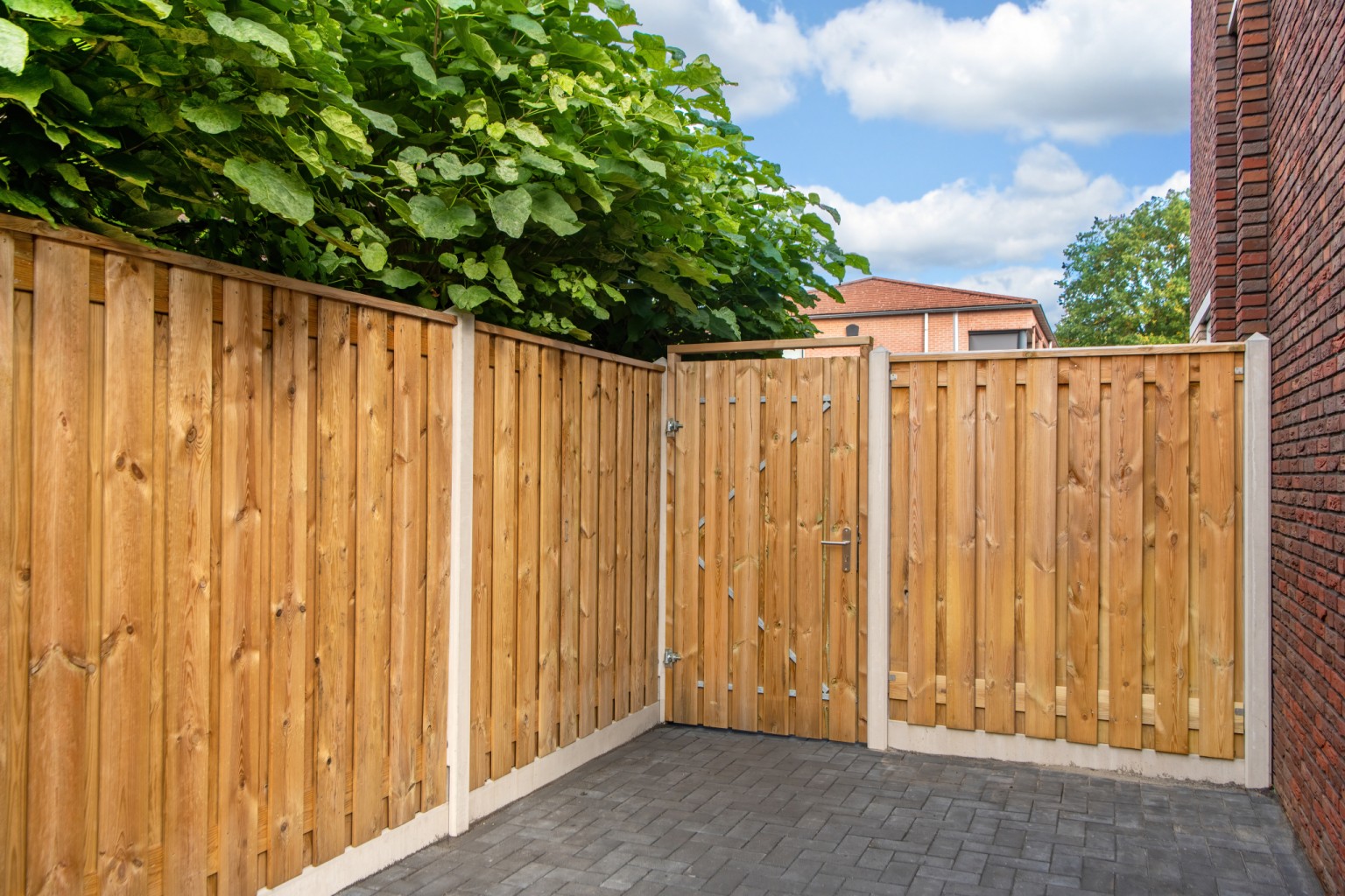 669013436a0d8-50215cac196f22bd6afbcce50936224f84fb37ac-p022146-r-v01-0-202211jpg