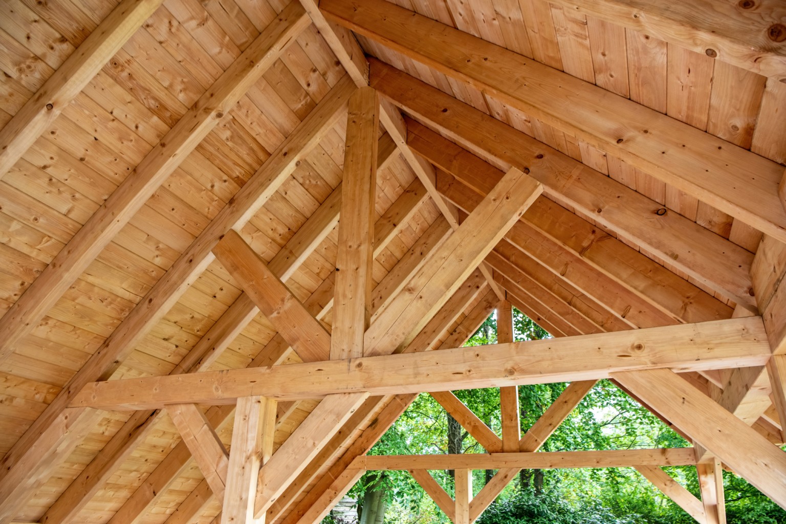 669018188934a-b15420c3f348a7e5c338b97ba499a50468d147b5-p066515-r-v77287-0-202211jpg