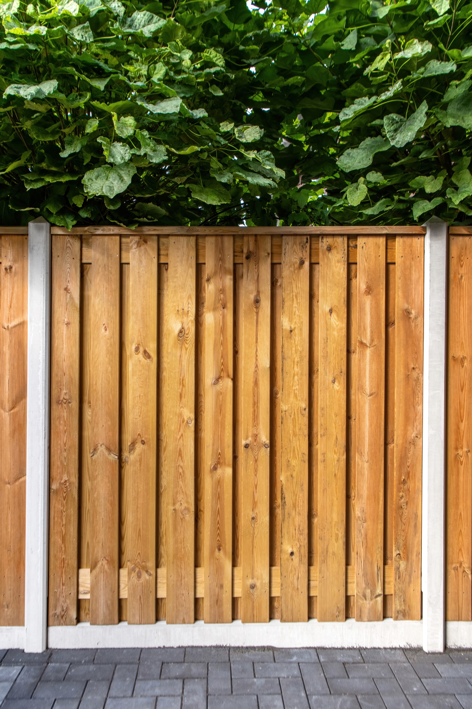 66901d6be025b-236f79ce654b3bfcf3bc3a8191741c60dc9de80c-p003635-r-v01-0-202211jpg