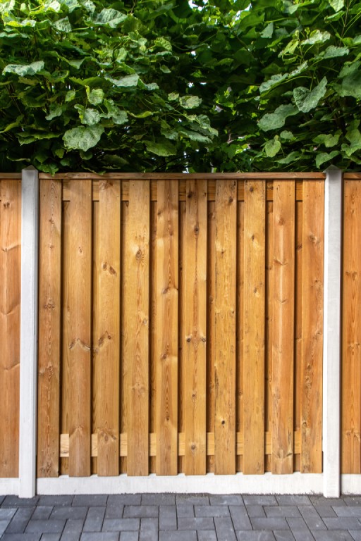 66901d6be025b-236f79ce654b3bfcf3bc3a8191741c60dc9de80c-p003635-r-v01-0-202211jpg