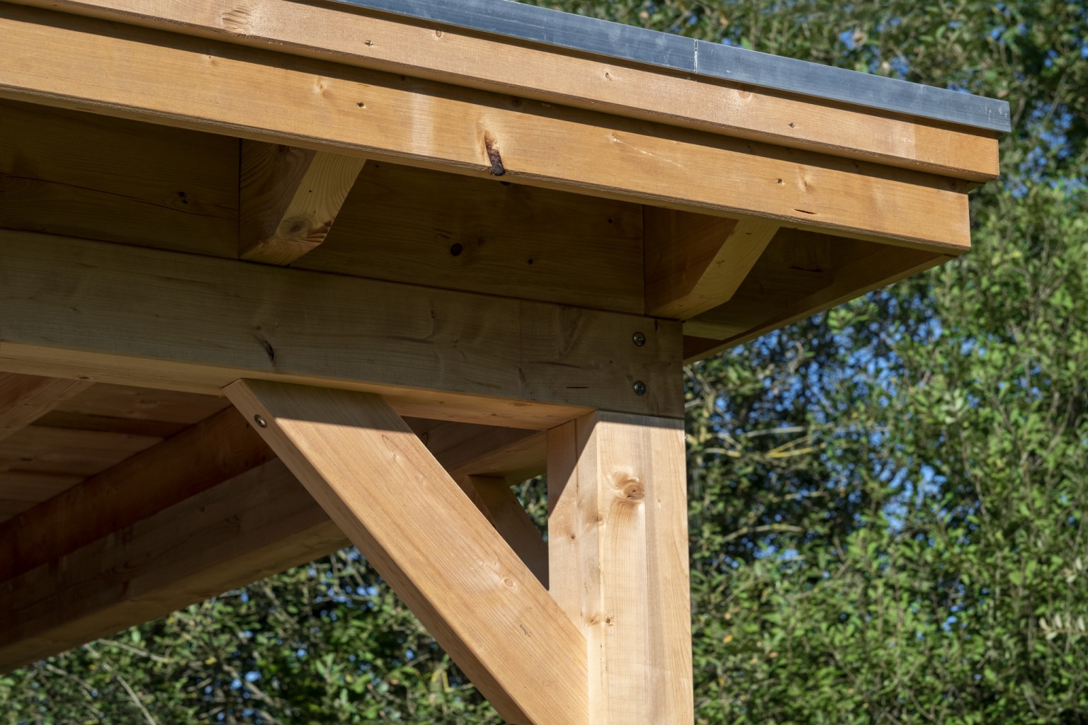 668ffc2785b16-93c964471e920ac6b172a30ce95b450e3fbd845c-k064966-r-v68359-0-202201jpg