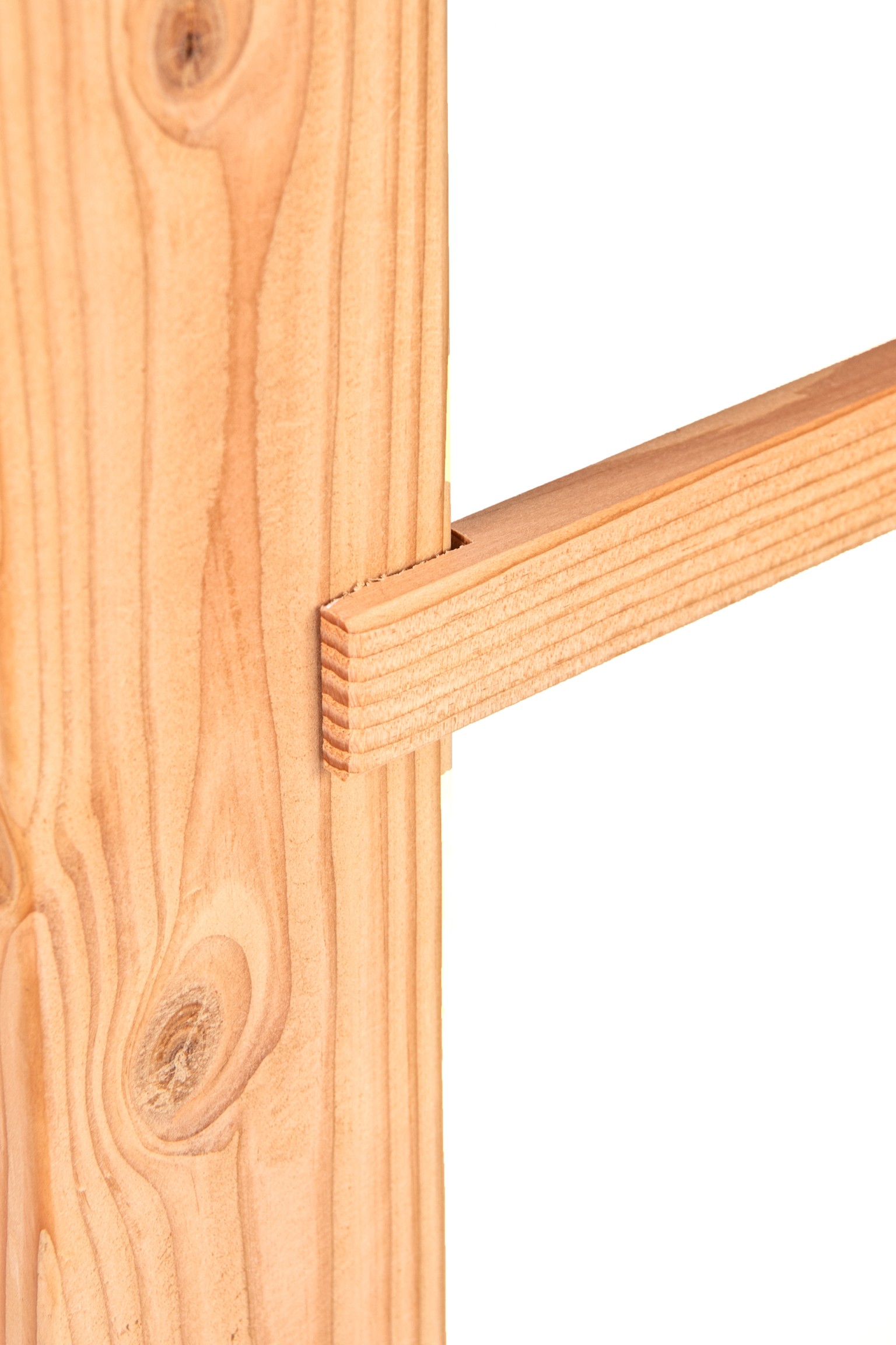 6777d1367d58b-279ea0621960c6d83dca3ab529fc8b60a110b8fb-p160313-f-v01-0-202501jpg