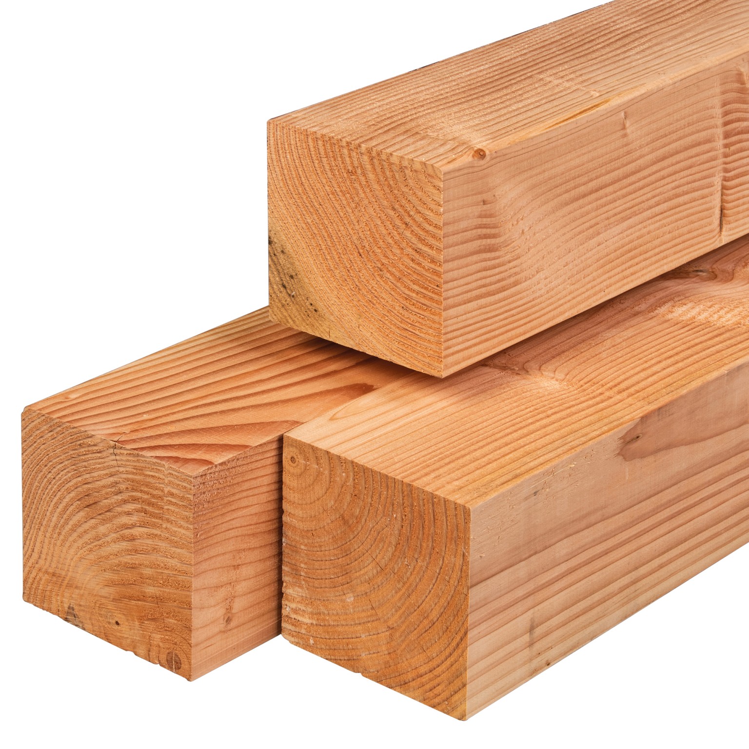 669012a7696fc-4f24e3b9cf752723f745dac4fdb70d61ed62b744-p021923-c-v01-0-202109jpg