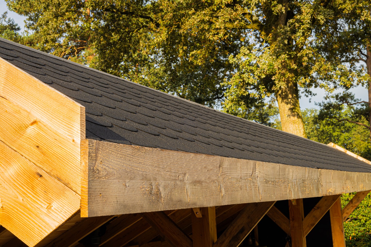 669012c68caee-2cfe51b8507a4a4573da04227f9bfe0bbac735ad-p021958-f-v11-0-2407jpg