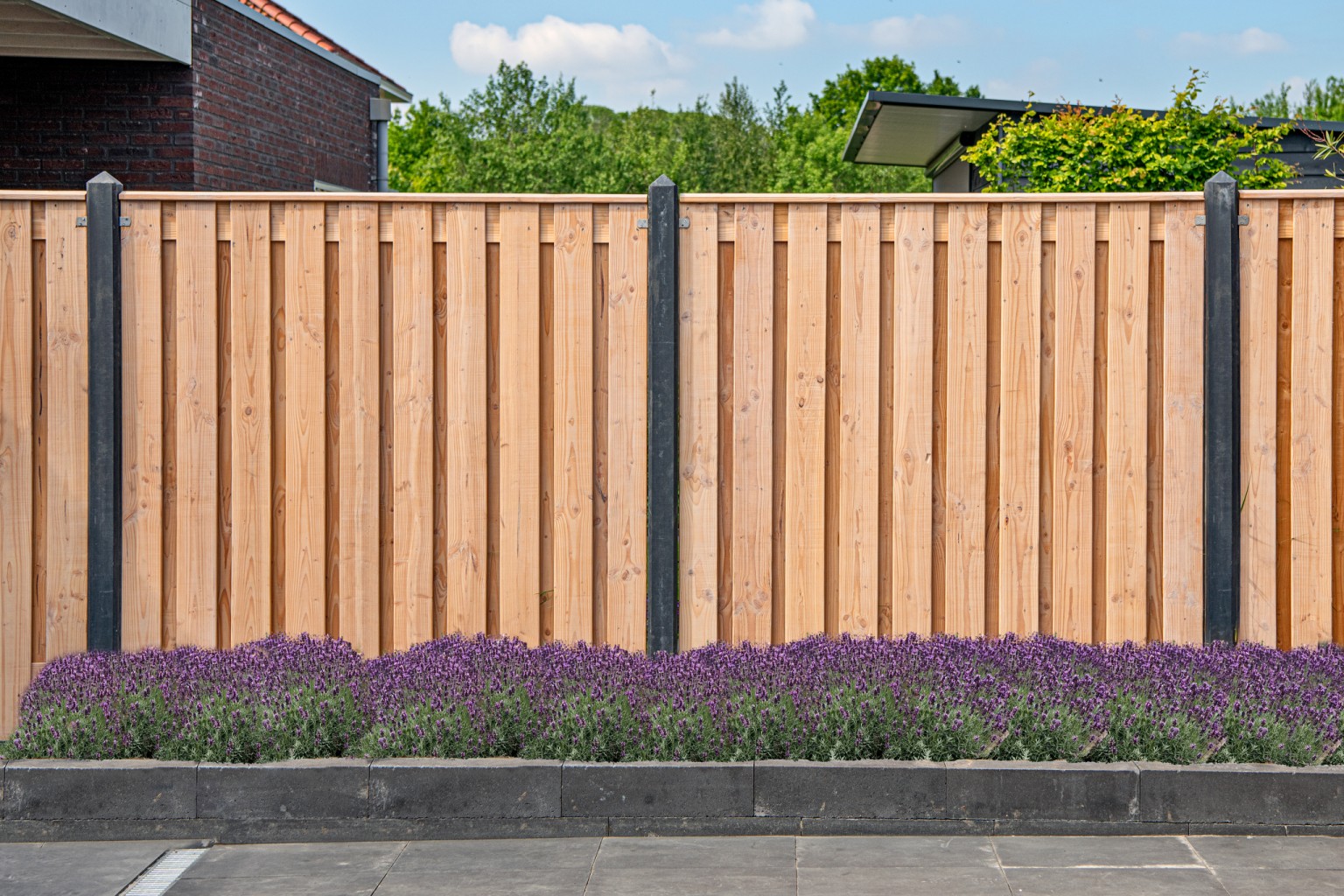 66901365c7866-49c90b0dc1751011d24039a53e2c81415d061e4a-p022201-r-v01-0-202207jpg