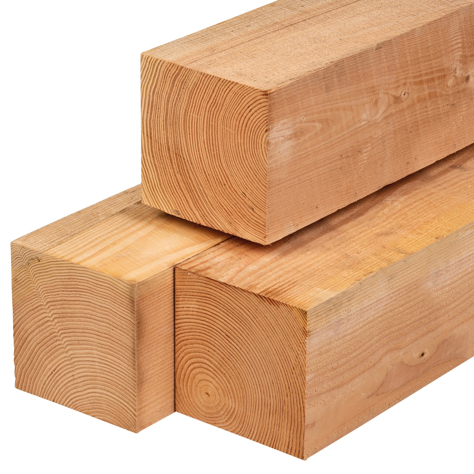 669010ee31791-9238166bb42fb7c79961e506016f038297d9a4e0-p021108-c-v01-0-202208jpg