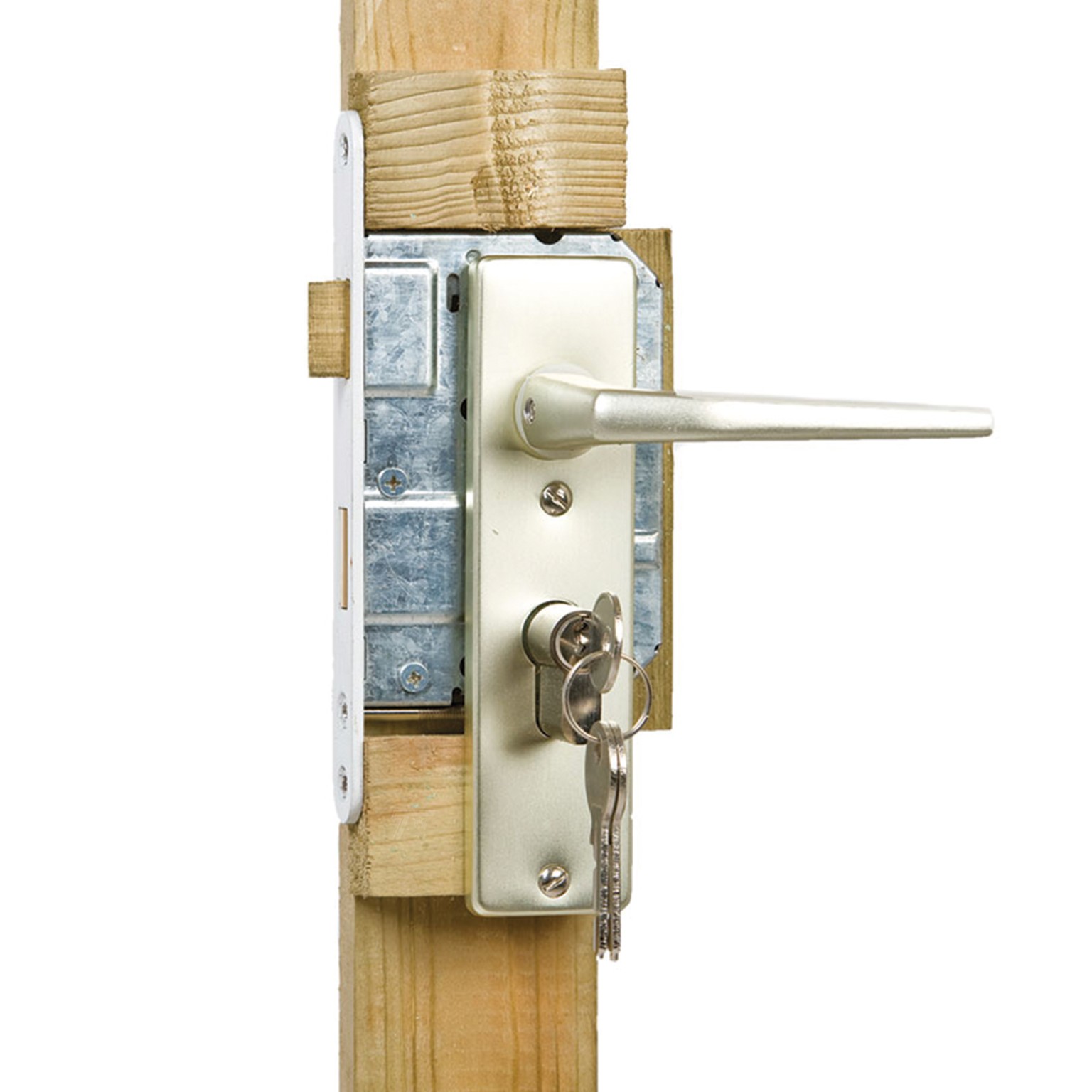 66901a52d1aab-aa5cd68785ff5750c13daff080f639076cf5bcaf-k064739-c-v01-0-202207jpg