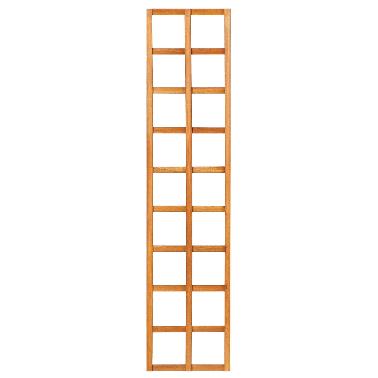 668fff754b849-b5d36bd731b4c542c48a9e365ffed0e769e8110d-p002542-c-v01-0-202405jpg