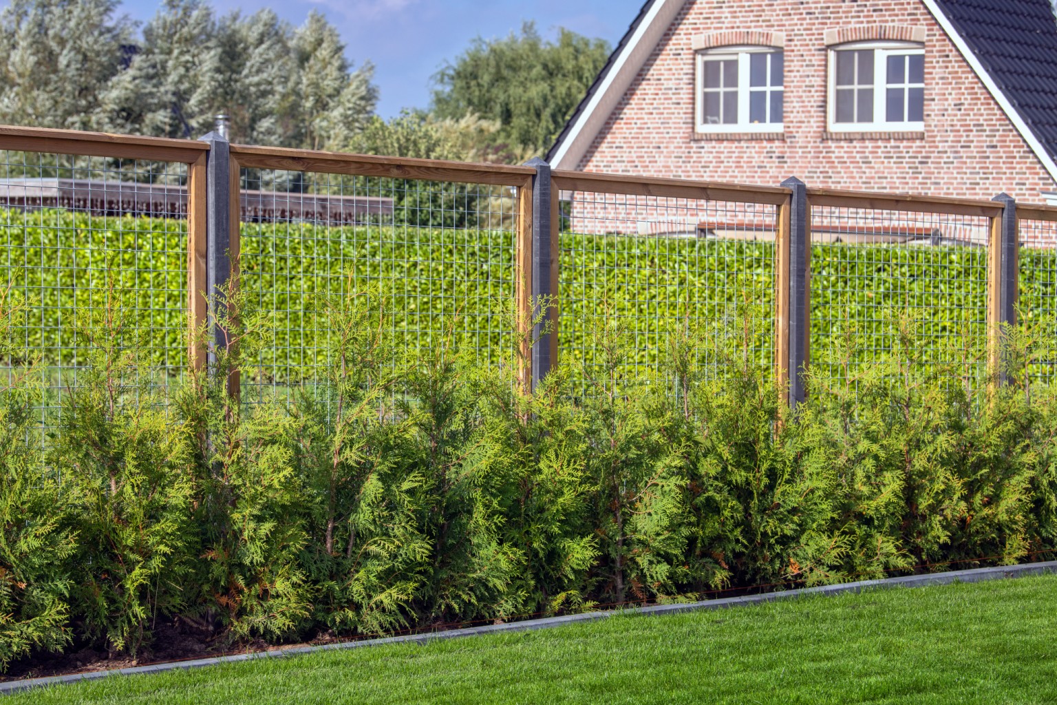 669011f75add7-5f456d356a074cb980dd76d6ae036e2adb4d33c9-p021677-r-v76200-0-202210jpg