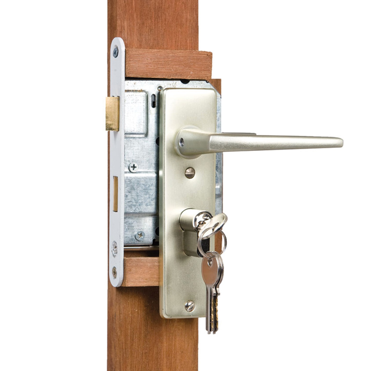 66901a5b3ae43-49413d4a235b4669ff6ab209e53f346934bcad28-k064754-c-v02-0-202207jpg