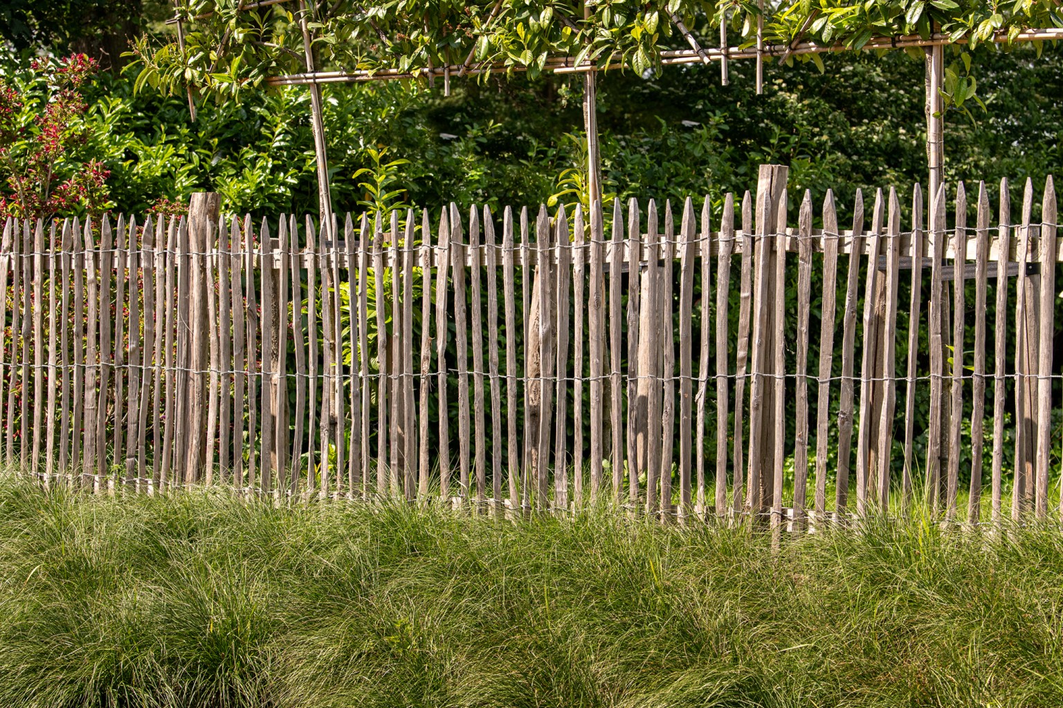 675aad5c6e3d6-1addc239bf6d7f7a247afd3360f21f3e37248b2d-grpitm-tdi-v01-chestnut-fence-3wires-50mm-r-v05-0-202104jpg