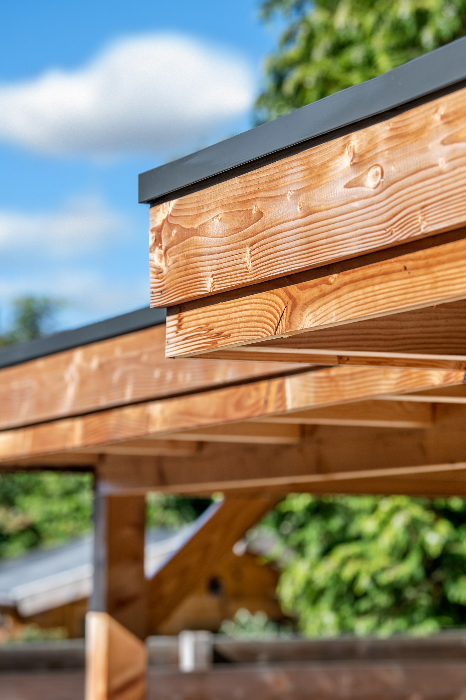 668ffc1c2f934-5da3cfbc718493a77b02eed7b2f4d8442038b515-k064965-r-v02-0-202104jpg