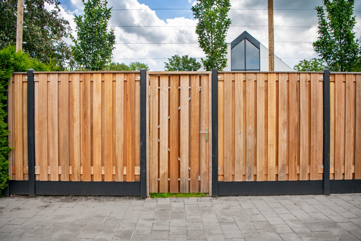 668ffecd38598-9afeb5e2b401d4f4dd957f7ece8ca29be775d3f6-p002246-r-v01-0-202301jpg