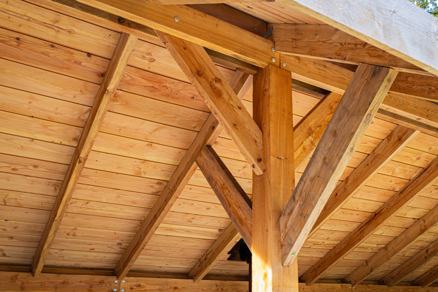 669012c819885-0eb04bd9a34ee2eca2c3a3119bc2e7b22159c4b9-p021960-f-v10-0-2407jpg