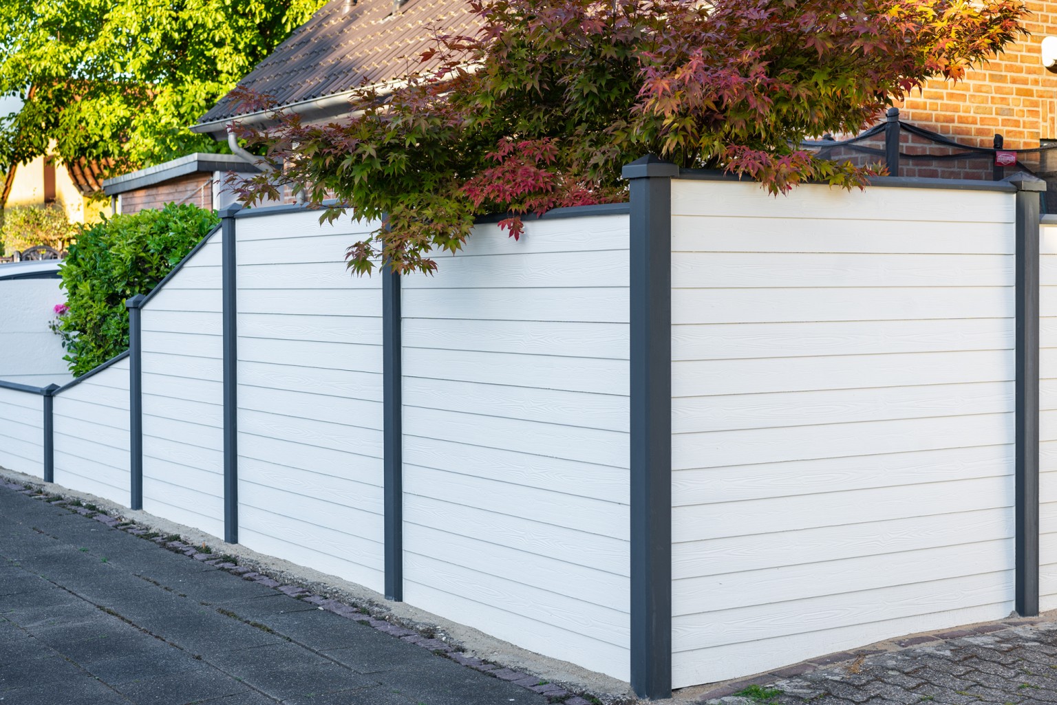 66901d80646ea-8ece086d2a7c7000a8a6a778cdeb74f0e4964d37-p003653-r-v02-0-202106jpg